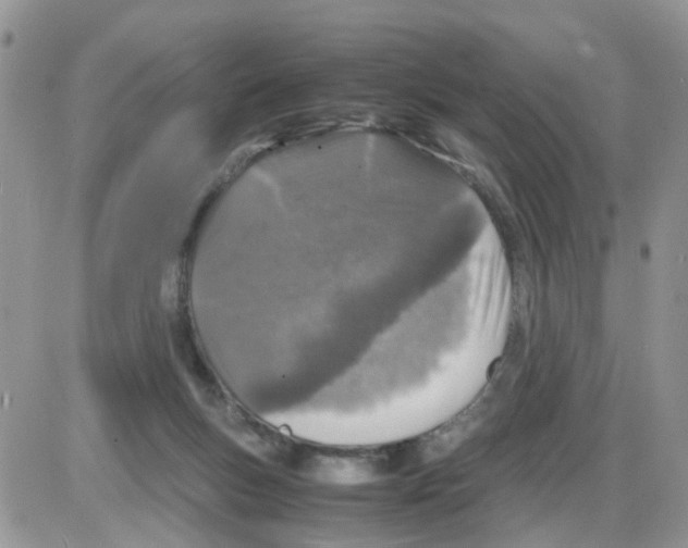 X0000086030167200704201955