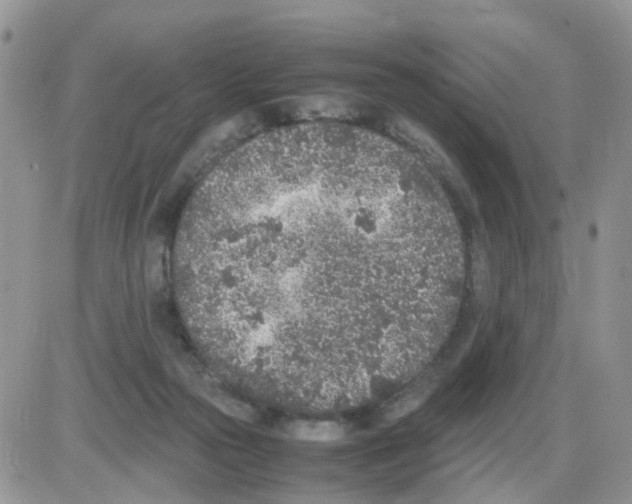 X0000086030169200704201955