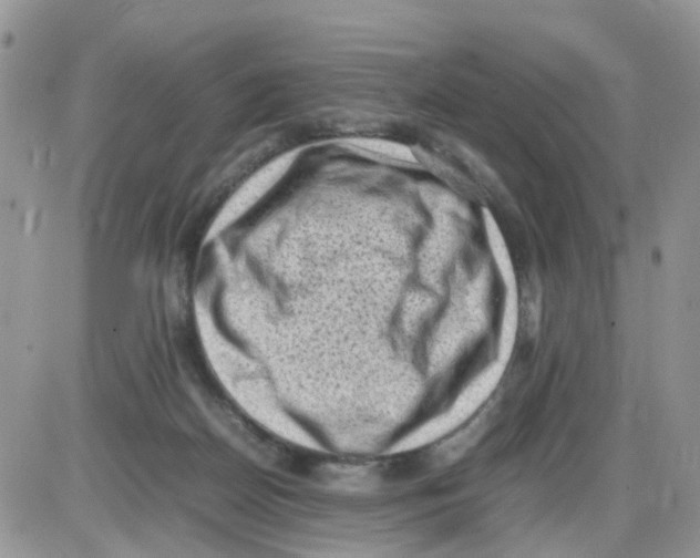 X0000086030170200704201955