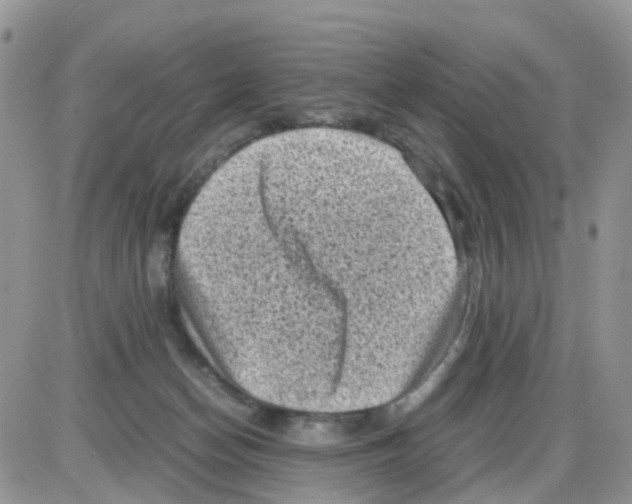 X0000086030174200704201955