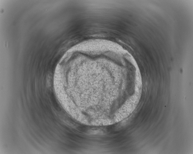 X0000086030175200704201955