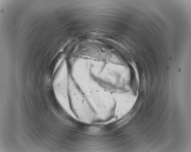 X0000086030176200704201955