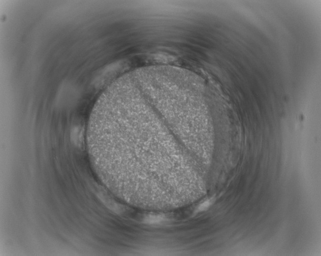 X0000086030177200704201955