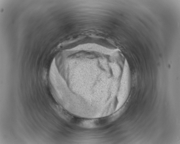 X0000086030178200704201955