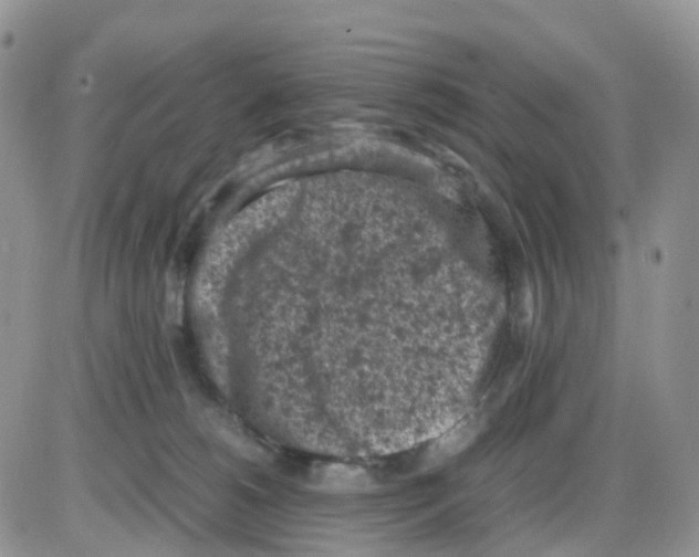 X0000086030180200704201955