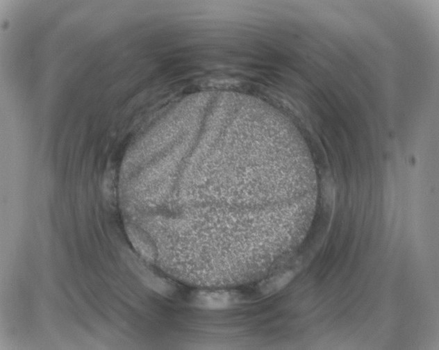 X0000086030181200704201955