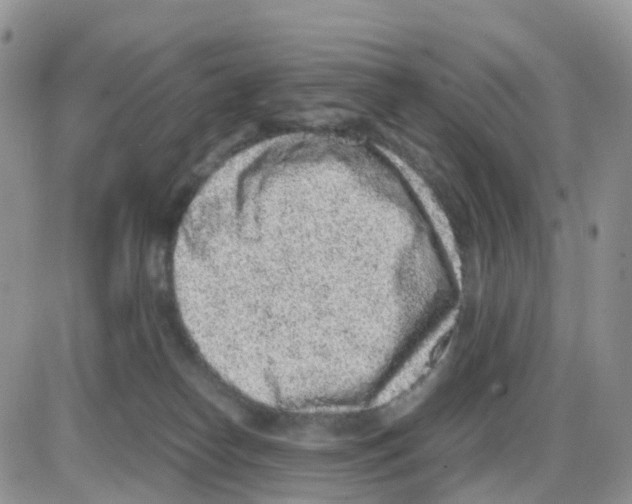 X0000086030182200704201955