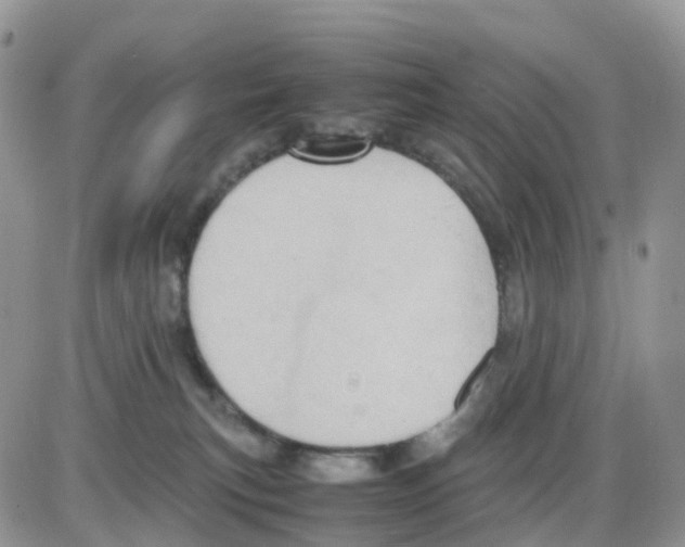 X0000086030183200704201955