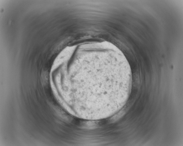 X0000086030184200704201955