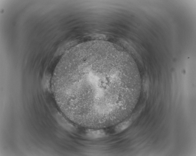 X0000086030185200704201955