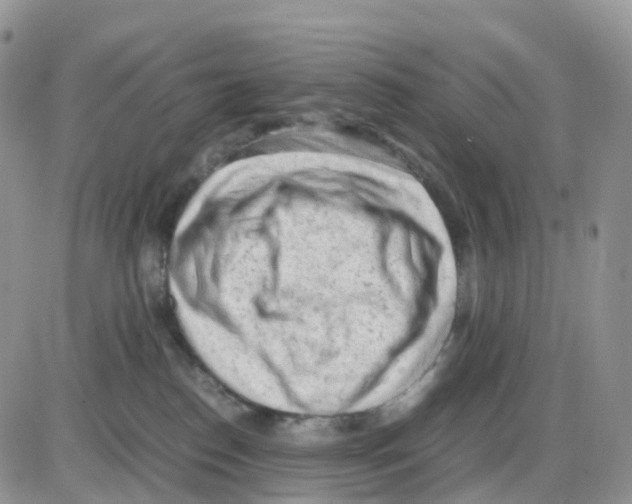 X0000086030186200704201955