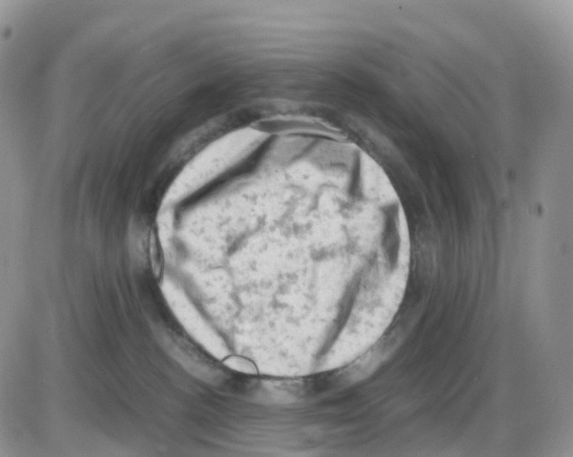 X0000086030188200704201955