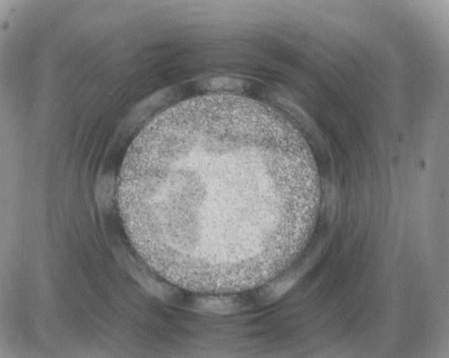 X0000086030189200704201955