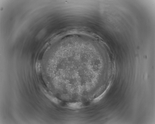 X0000086030191200704201955