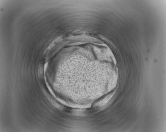 X0000086030192200704201955