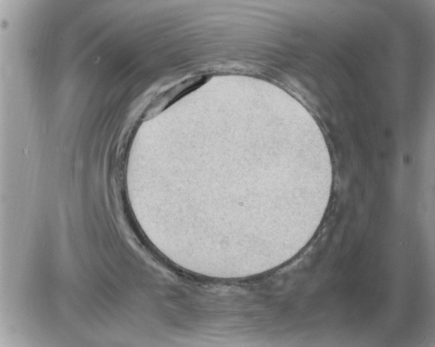 X0000086030193200704201954