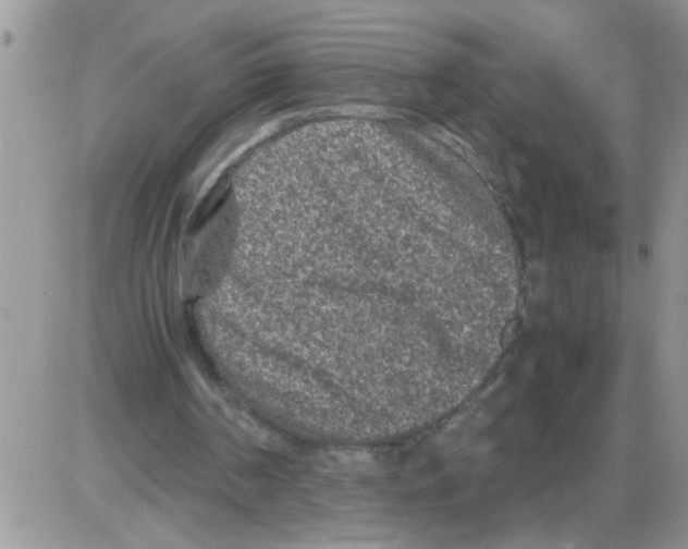 X0000086030194200704201954