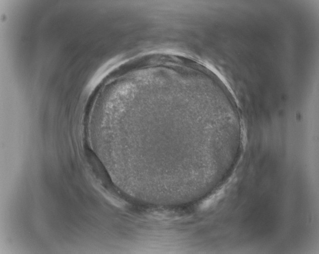 X0000086030199200704201954