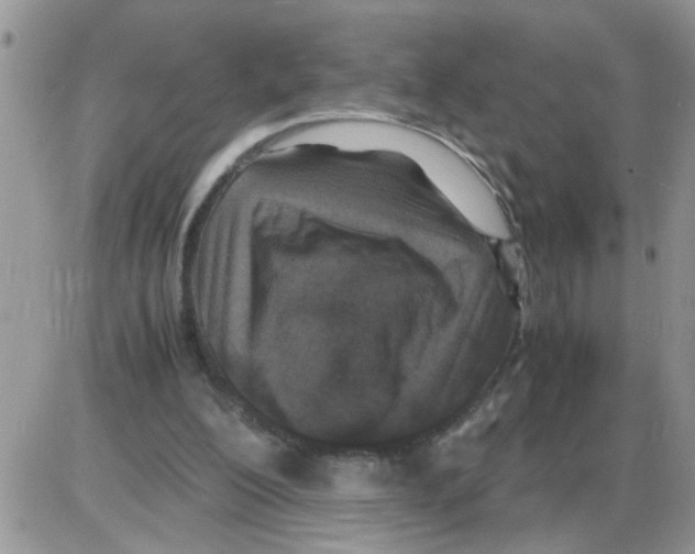 X0000086030200200704201954