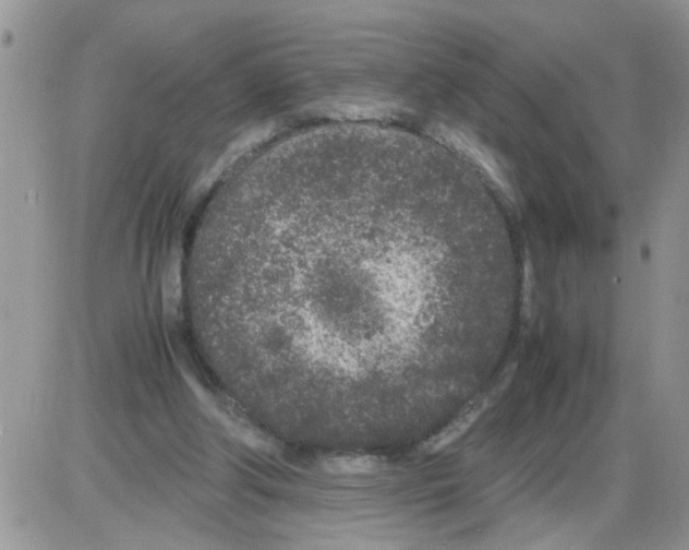 X0000086030202200704201954