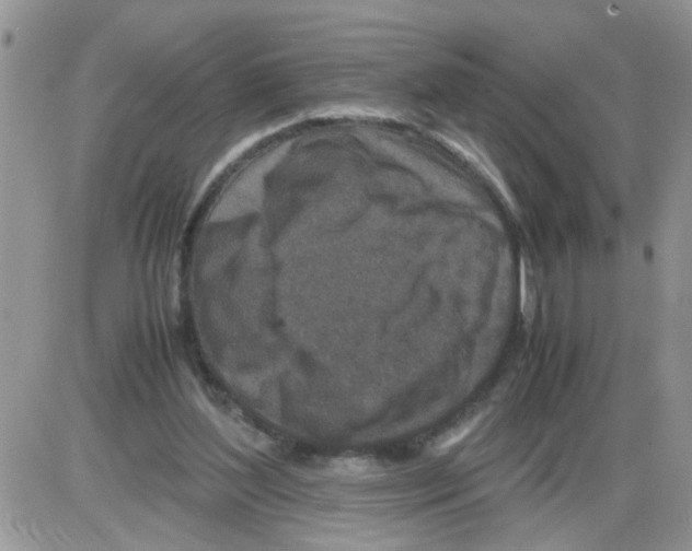 X0000086030204200704201954