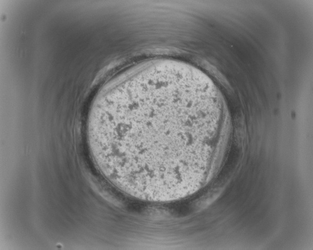 X0000086030207200704201954