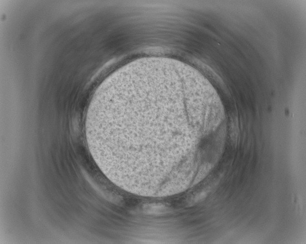 X0000086030208200704201954