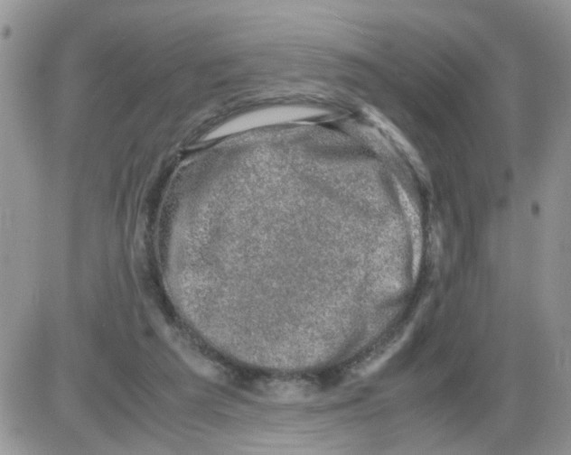 X0000086030209200704201954