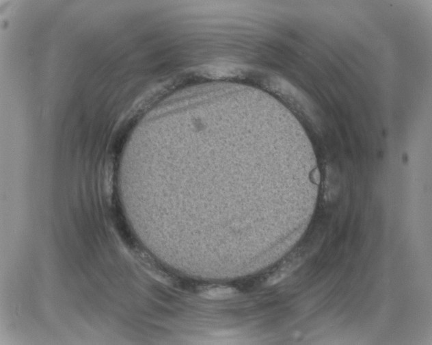 X0000086030210200704201954