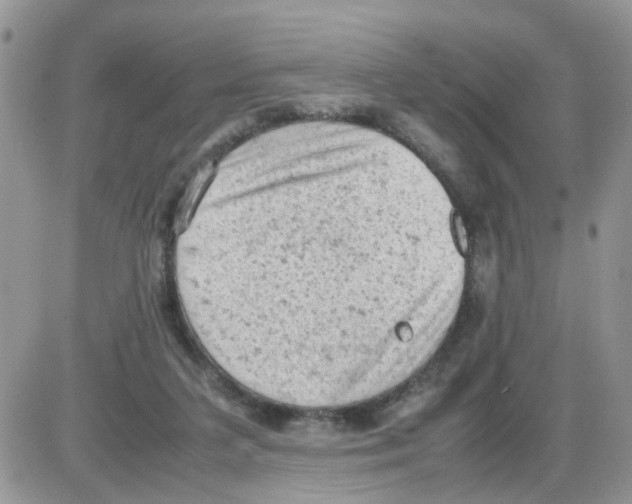 X0000086030211200704201954