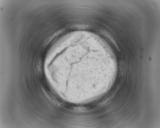 X0000086030212200704201954