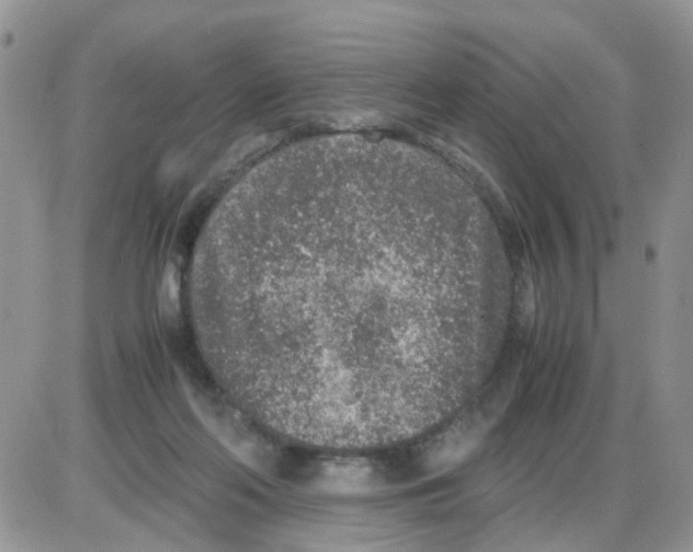 X0000086030214200704201954