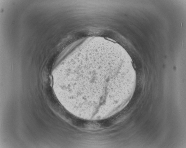 X0000086030215200704201954