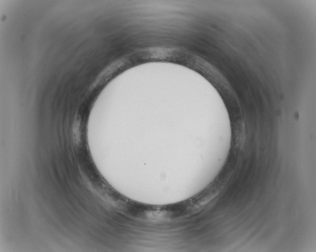 X0000086030216200704201954