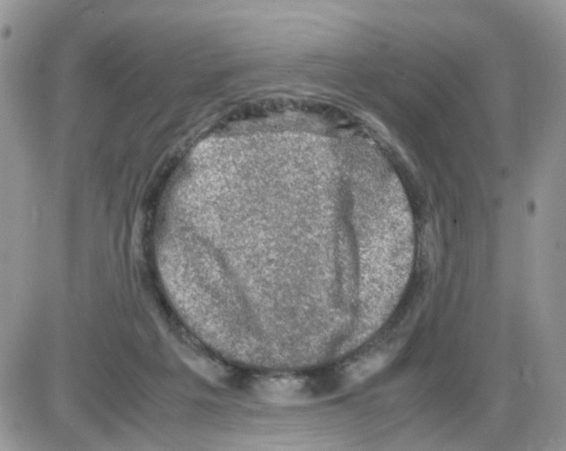 X0000086030217200704201954