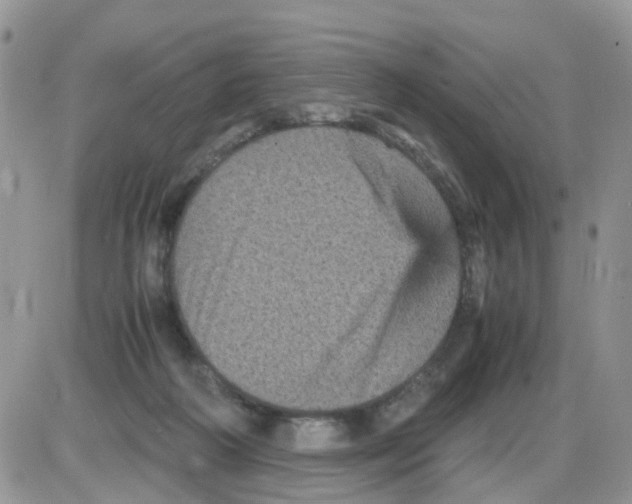 X0000086030218200704201954