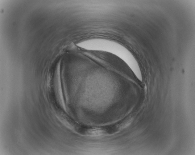 X0000086030219200704201954