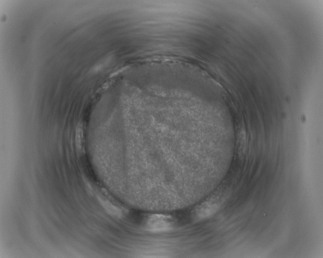 X0000086030222200704201954