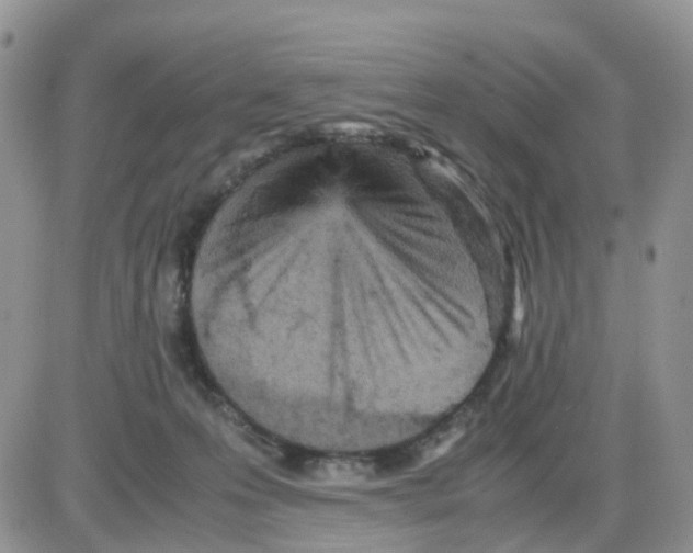 X0000086030223200704201954