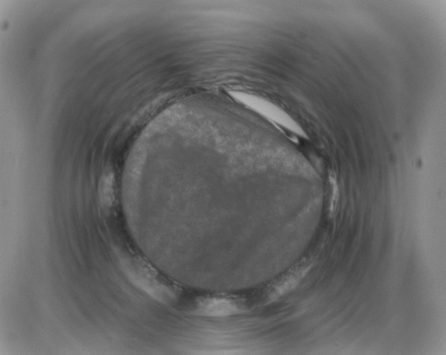 X0000086030224200704201954