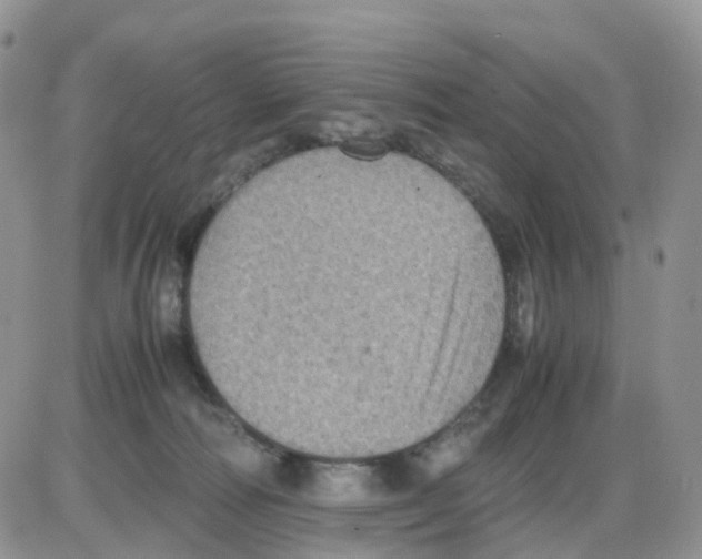 X0000086030226200704201954