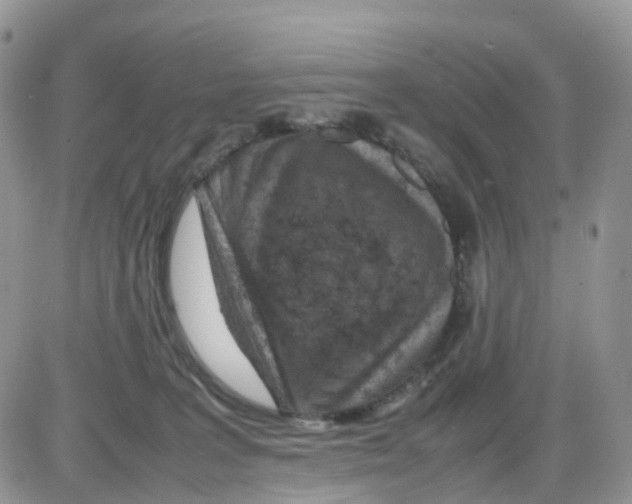 X0000086030227200704201954