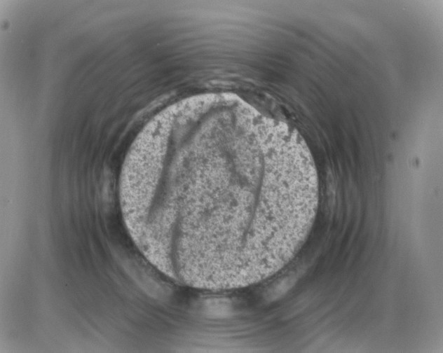 X0000086030228200704201954