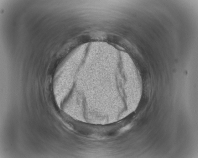 X0000086030229200704201954