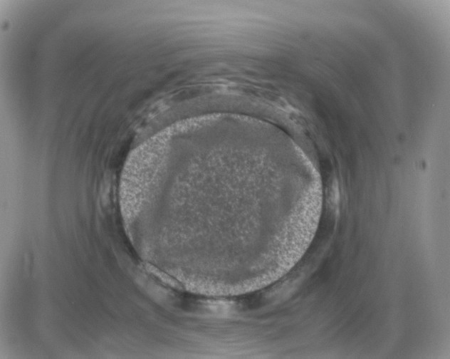 X0000086030233200704201954