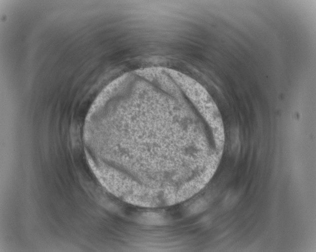 X0000086030236200704201954