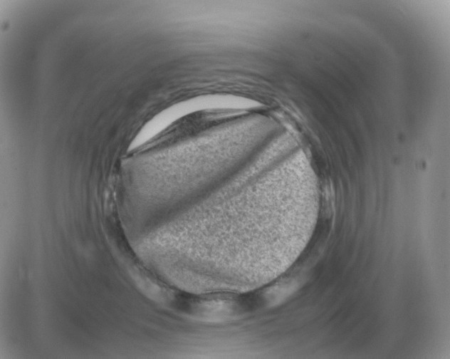 X0000086030237200704201954