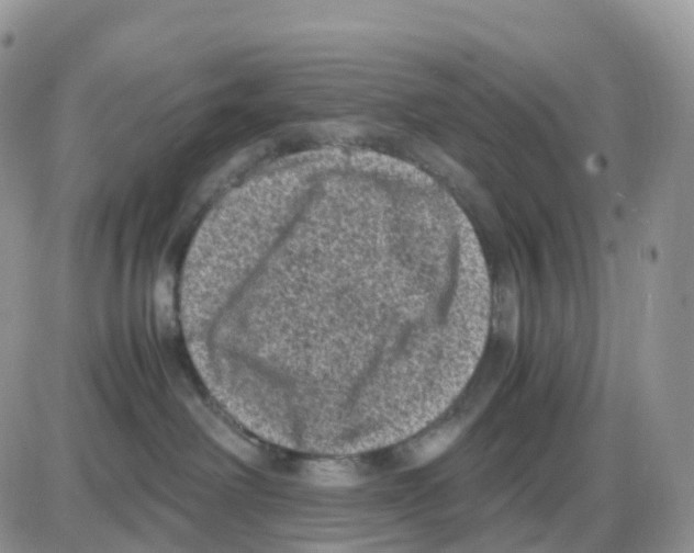 X0000086030238200704201954