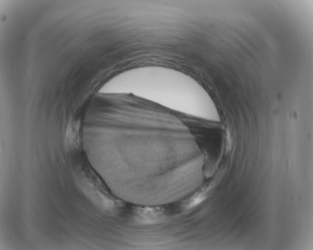 X0000086030239200704201954