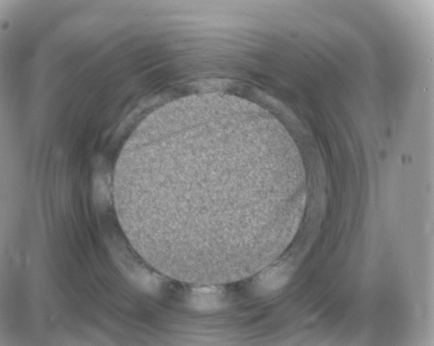 X0000086030240200704201954